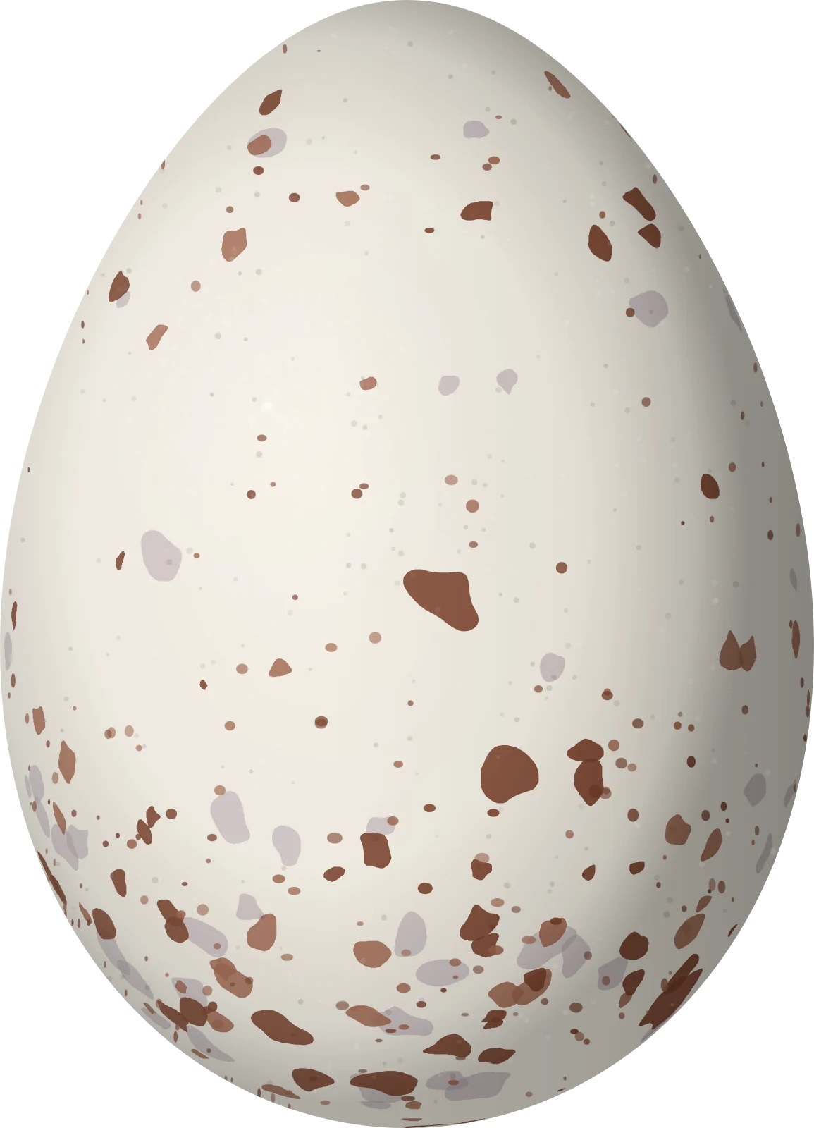 Illustration of a Dusky Antbird (Cercomacroides tyrannina) egg, 20.98 × 15.14 mm
