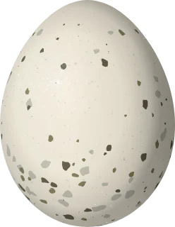 Dusky-capped Flycatcher egg, 19.6 × 15.2 mm