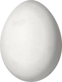 Dusky Flycatcher egg, 17.3 × 13.2 mm