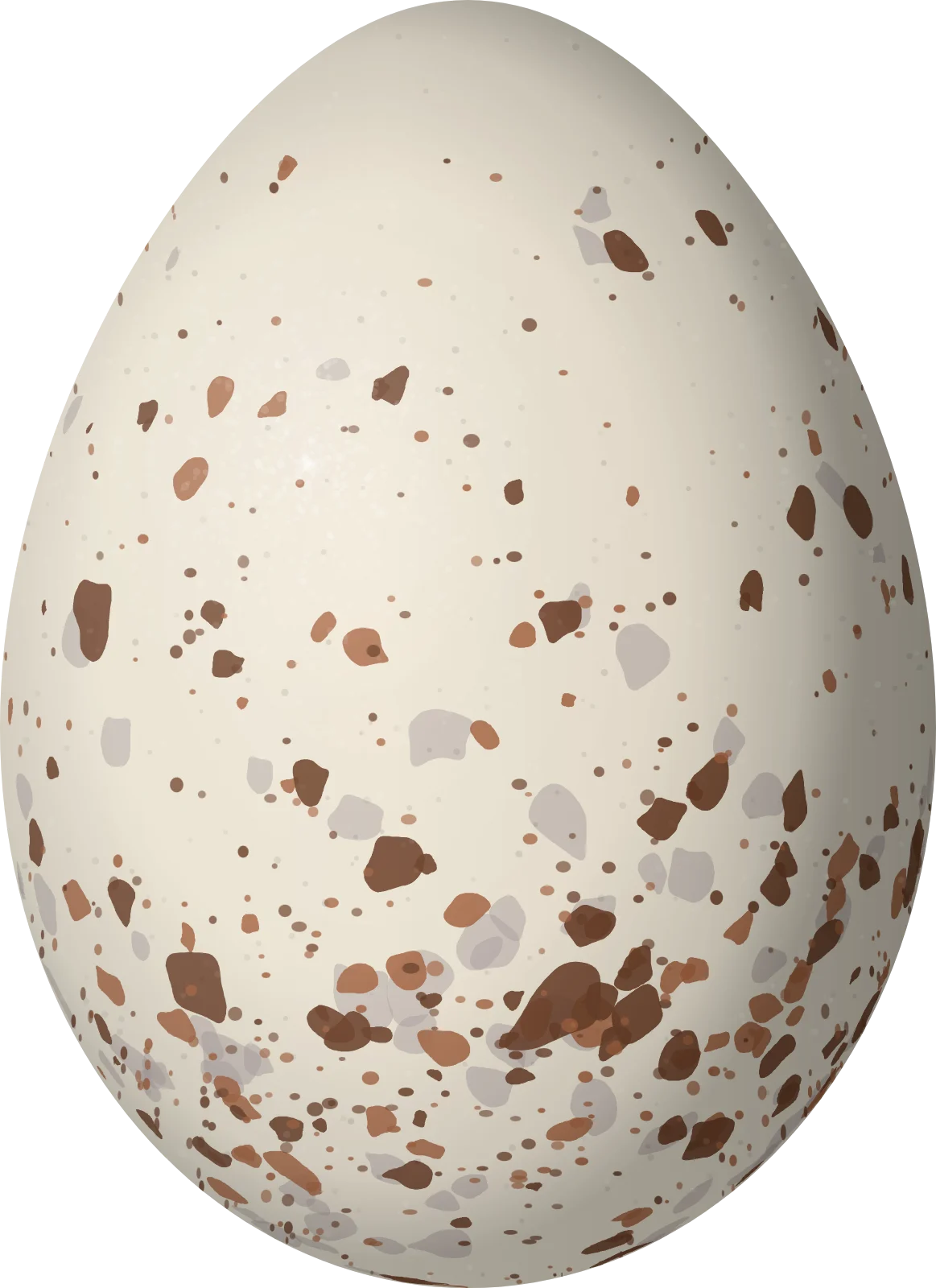 Illustration of a Dusky-headed Brushfinch (Atlapetes fuscoolivaceus) egg, 23.8 × 17.3 mm