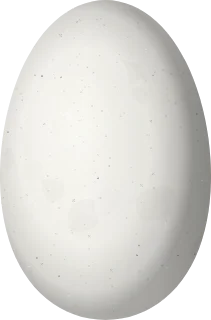 Illustration of a Dusky Hummingbird (Phaeoptila sordida) egg, 13.5 × 8.9 mm
