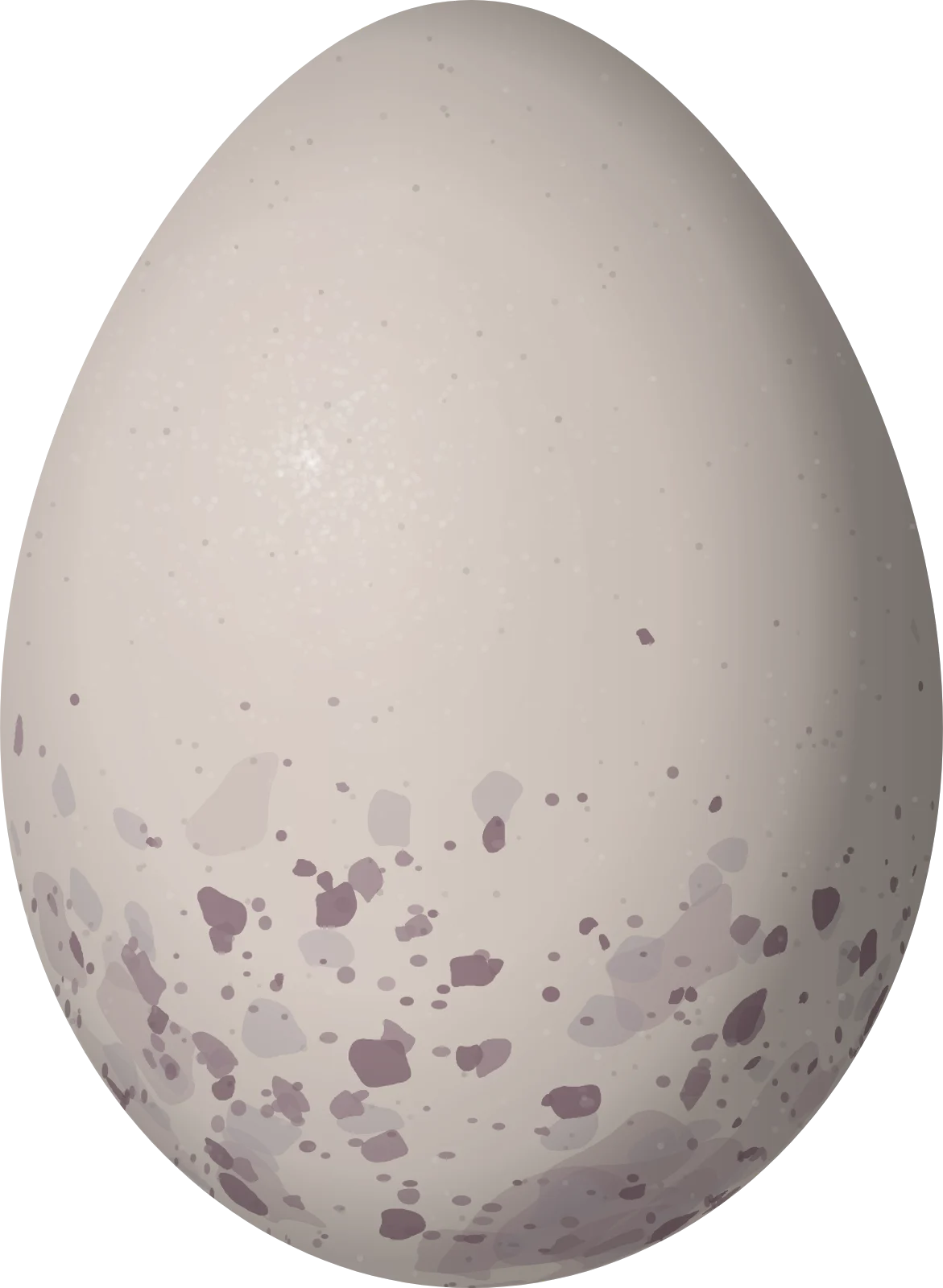 Illustration of a Dusky Purpletuft (Iodopleura fusca) egg, 19 × 13.9 mm
