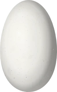 Illustration of a Dusky Starfrontlet (Coeligena orina) egg, 16.1 × 9.9 mm