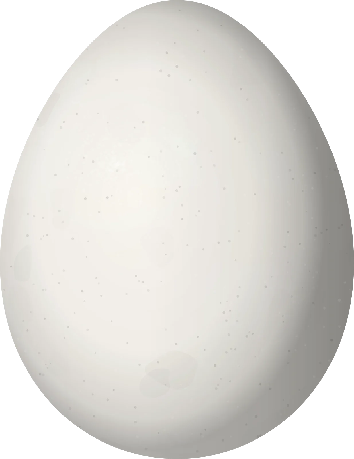 Illustration of a Dusky Tapaculo (Scytalopus fuscus) egg, 21.5 × 16.6 mm