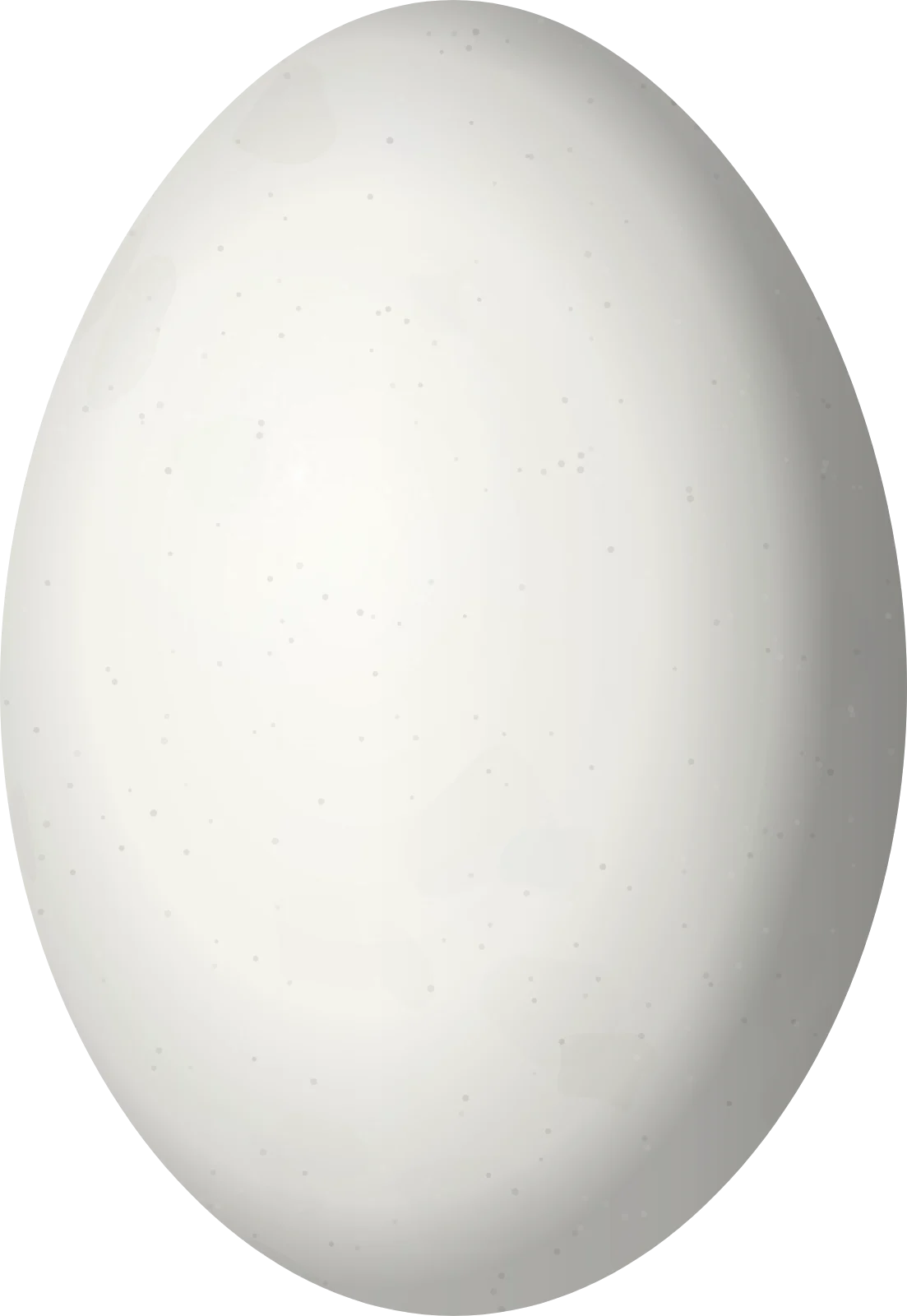 Illustration of an Eared Grebe (Podiceps nigricollis) egg, 43.5 × 30 mm
