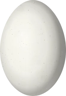 Eared Grebe egg, 43.5 × 30 mm