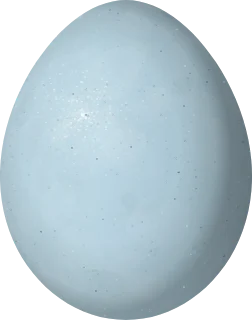 Eastern Bluebird egg, 20.7 × 16.3 mm