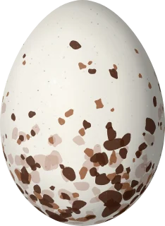 Eastern Kingbird egg, 24.2 × 17.7 mm