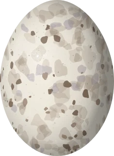 Eastern Whip-poor-will egg, 29 × 21.3 mm