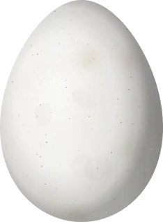 Illustration of an Eastern Woodhaunter (Automolus subulatus) egg, 24.3 × 17.8 mm