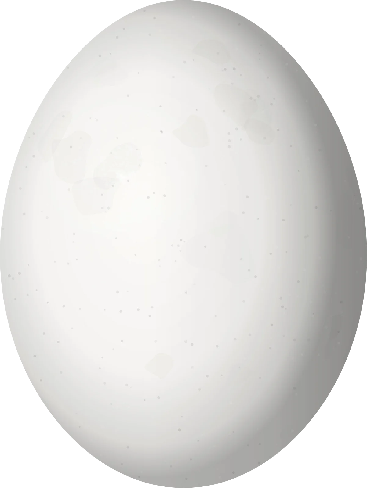 Illustration of an Ecuadorian Ground Dove (Columbina buckleyi) egg, 22.5 × 16.9 mm