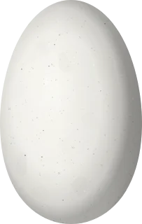 Illustration of an Ecuadorian Hillstar (Oreotrochilus chimborazo) egg, 16.2 × 10.3 mm