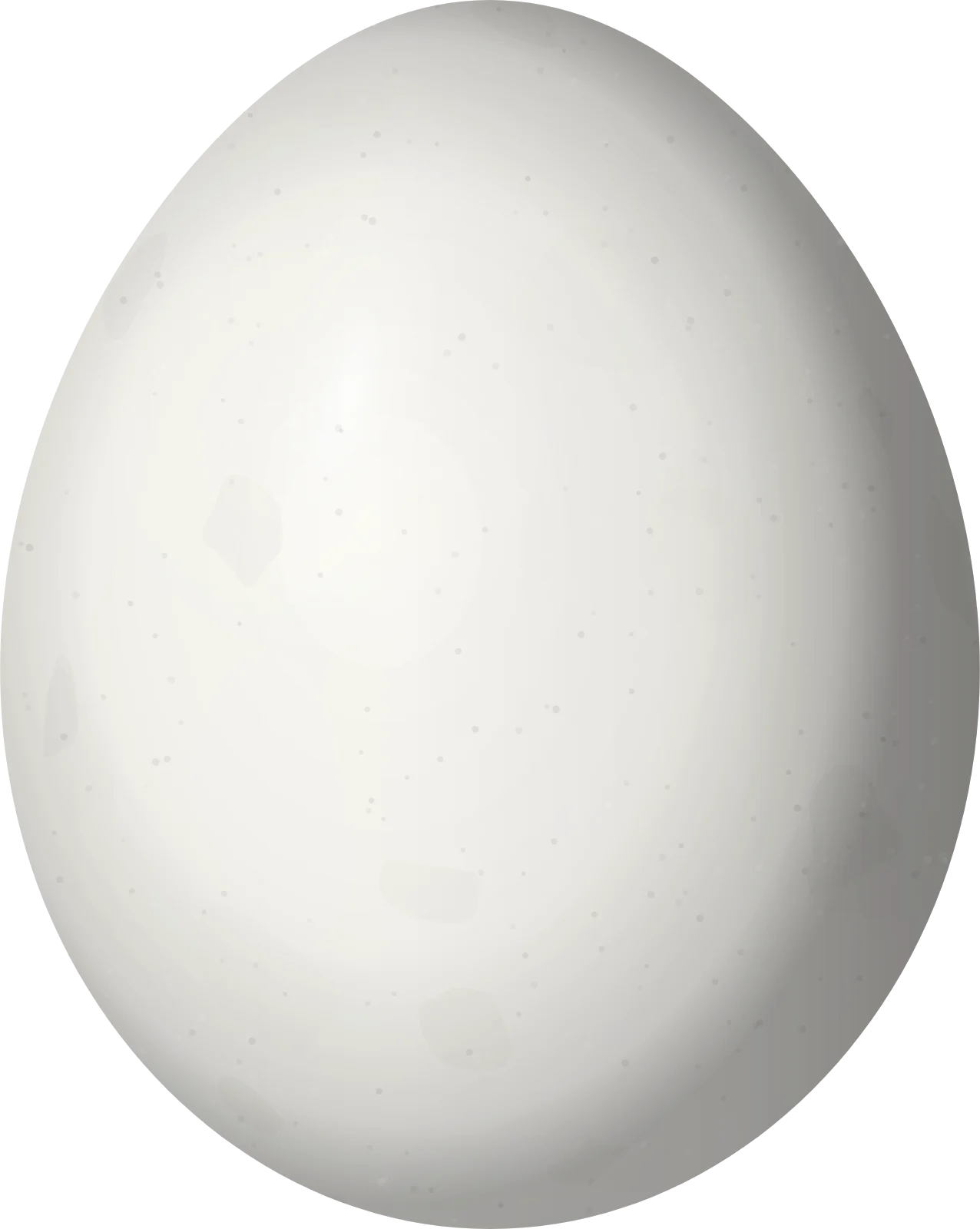 Illustration of an Ecuadorian Piculet (Picumnus sclateri) egg, 15.3 × 12.2 mm