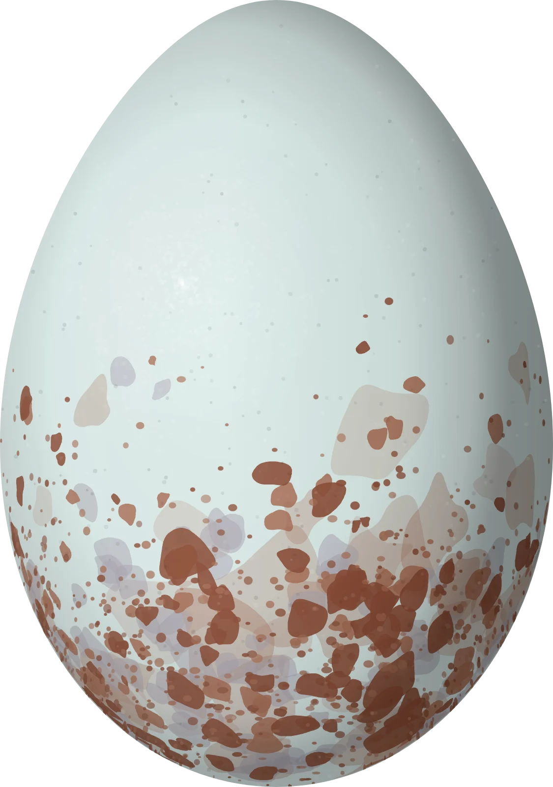 Illustration of an Ecuadorian Thrush (Turdus maculirostris) egg, 30 × 21.1 mm
