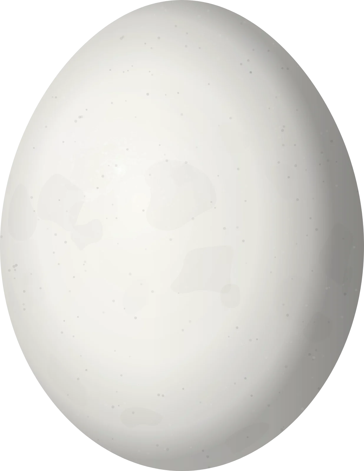 Illustration of an El Oro Parakeet (Pyrrhura orcesi) egg, 25.4 × 19.6 mm