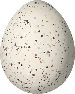 Illustration of an Elegant Euphonia (Chlorophonia elegantissima) egg, 16.3 × 13.1 mm