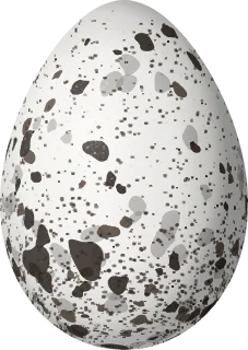 Illustration of an Elegant Tern (Thalasseus elegans) egg, 53.5 × 38 mm