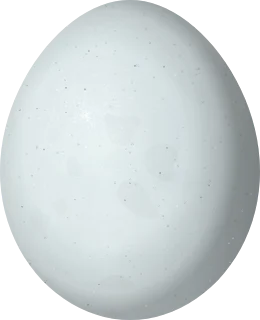 Elegant Trogon egg, 28.5 × 23.18 mm