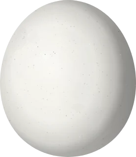 Elf Owl egg, 26.8 × 23.2 mm