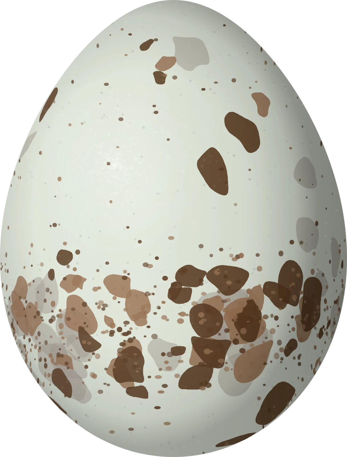 Illustration of an Elfin Woods Warbler (Setophaga angelae) egg, 17 × 12.9 mm