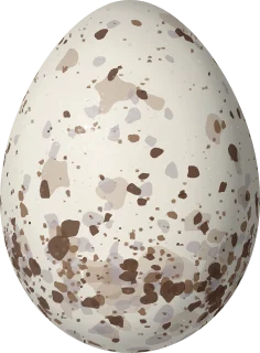 Illustration of an Emerald Tanager (Tangara florida) egg, 20.6 × 15.2 mm