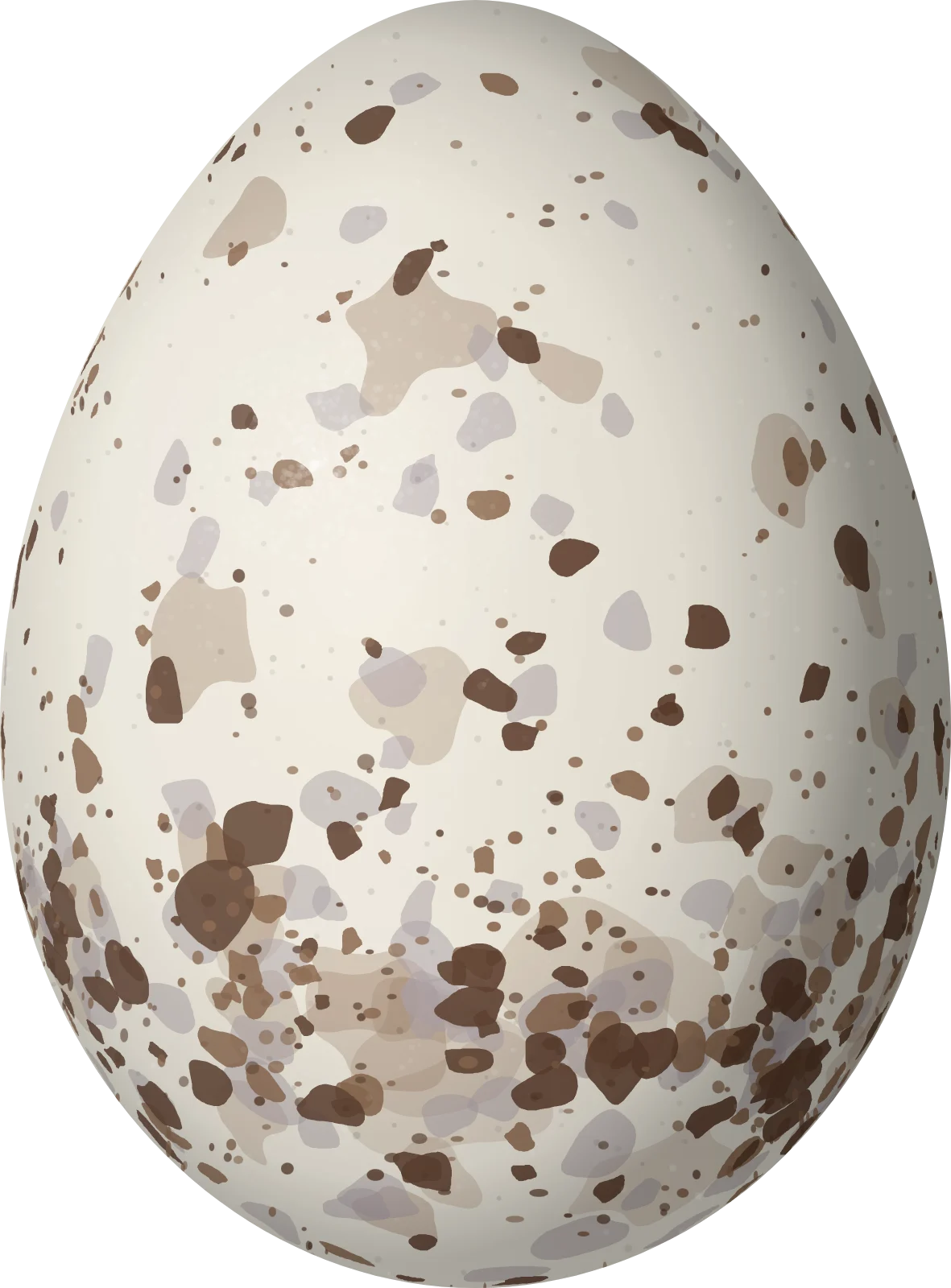 Illustration of an Emerald Tanager (Tangara florida) egg, 20.6 × 15.2 mm