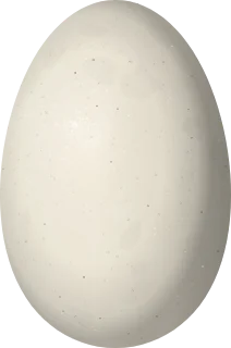 Emperor Goose egg, 78.6 × 52.1 mm