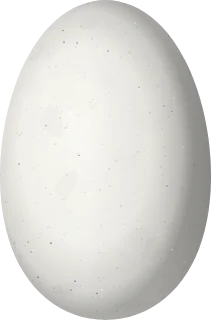 Illustration of an Empress Brilliant (Heliodoxa imperatrix) egg, 13.5 × 8.9 mm