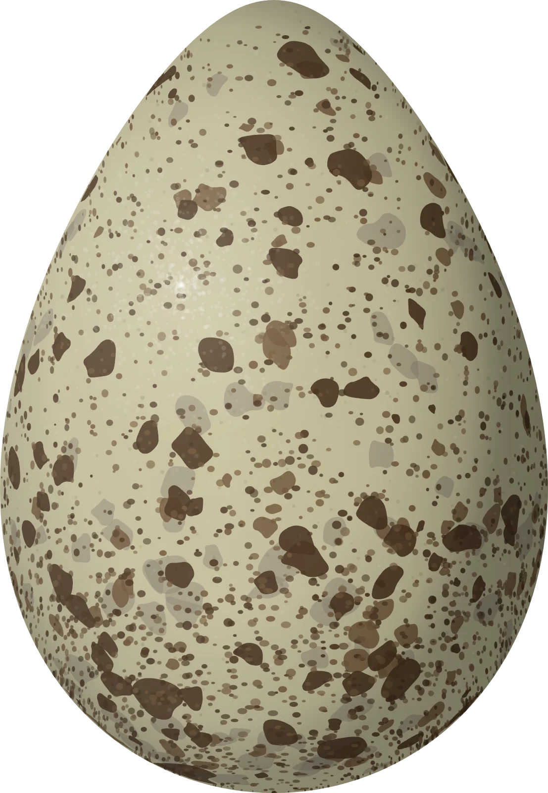 Illustration of an Eskimo Curlew (Numenius borealis) egg, 51.3 × 35.5 mm