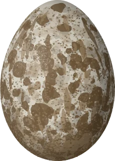 Eurasian Tree Sparrow egg, 19.5 × 14 mm