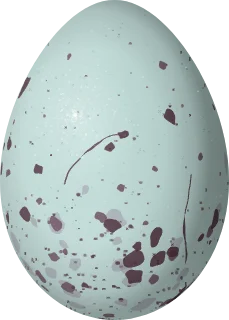Illustration of an Evening Grosbeak (Hesperiphona vespertina) egg, 24.5 × 17.5 mm