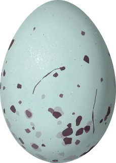 Evening Grosbeak egg, 24.5 × 17.5 mm