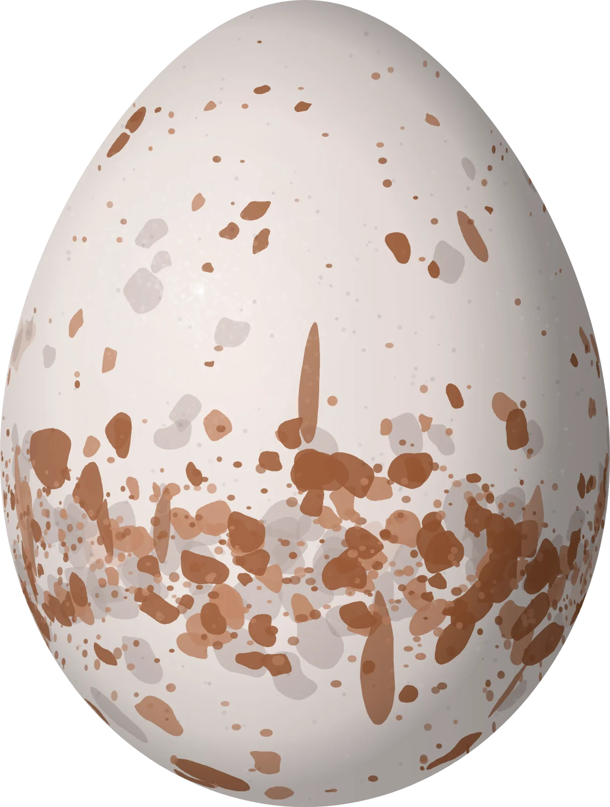 Illustration of a Fan-tailed Warbler (Basileuterus lachrymosus) egg, 20.5 × 15.5 mm