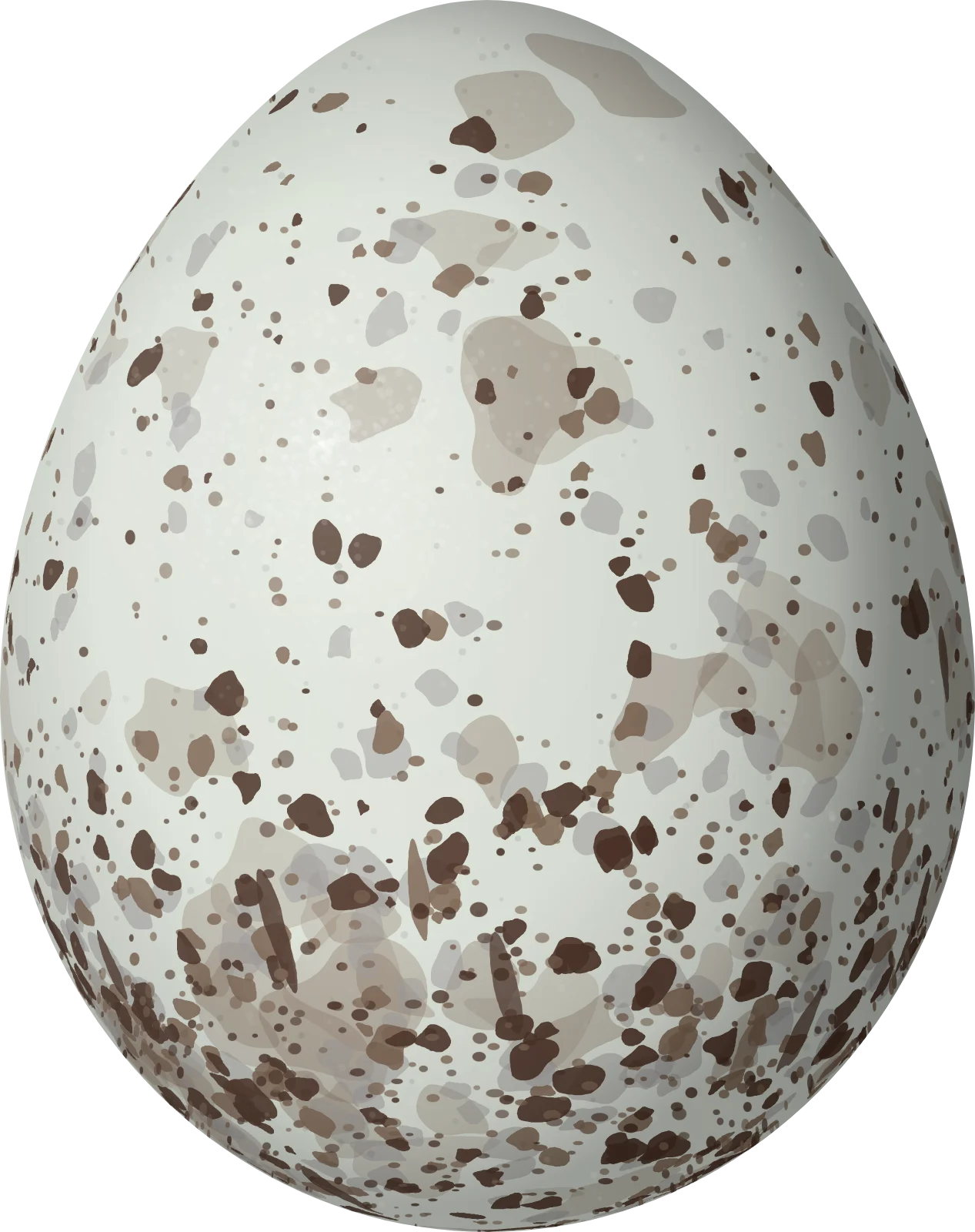 Illustration of a Fawn-breasted Tanager (Pipraeidea melanonota) egg, 22.6 × 17.9 mm
