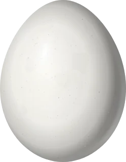 Illustration of a Fernandina's Flicker (Colaptes fernandinae) egg, 28 × 21.8 mm