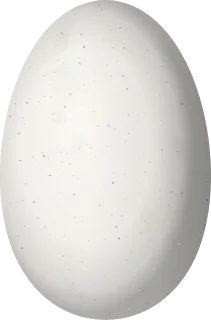 Illustration of a Fiery Topaz (Topaza pyra) egg, 13.5 × 8.9 mm