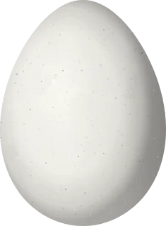 Illustration of a Firewood-gatherer (Anumbius annumbi) egg, 24 × 17.6 mm