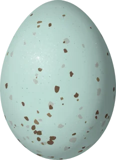 Fish Crow egg, 37.17 × 26.97 mm