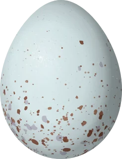 Illustration of a Flame-colored Tanager (Piranga bidentata) egg, 23 × 17.67 mm