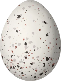 Illustration of a Flame-crested Tanager (Loriotus cristatus) egg, 22.5 × 17 mm