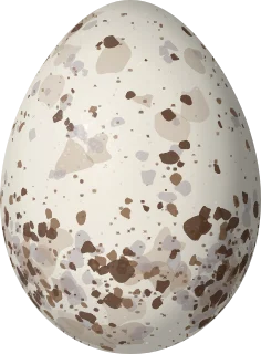 Illustration of a Flame-faced Tanager (Tangara parzudakii) egg, 20.6 × 15.2 mm