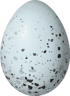 Illustration of a Flame-rumped Tanager (Ramphocelus flammigerus) egg, 23.9 × 17.4 mm
