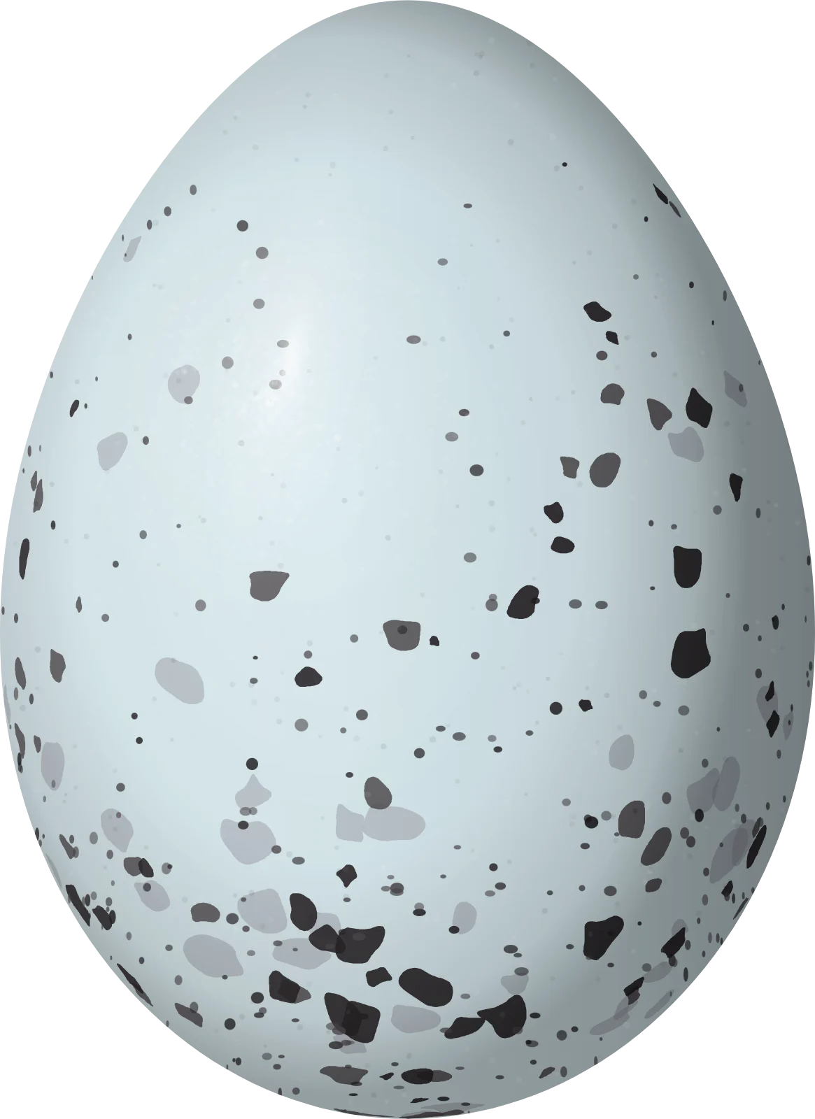 Illustration of a Flame-rumped Tanager (Ramphocelus flammigerus) egg, 23.9 × 17.4 mm