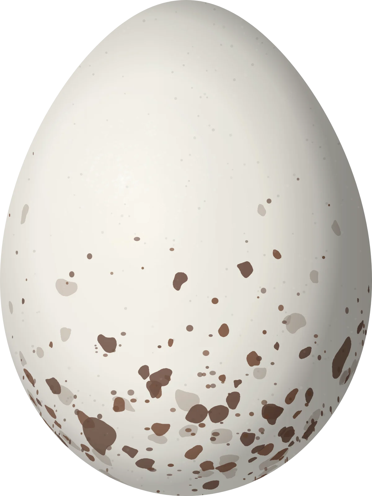 Illustration of a Flammulated Flycatcher (Ramphotrigon flammulatum) egg, 19.2 × 14.4 mm