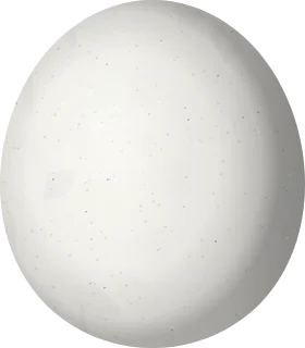 Flammulated Owl egg, 29.1 × 25.5 mm