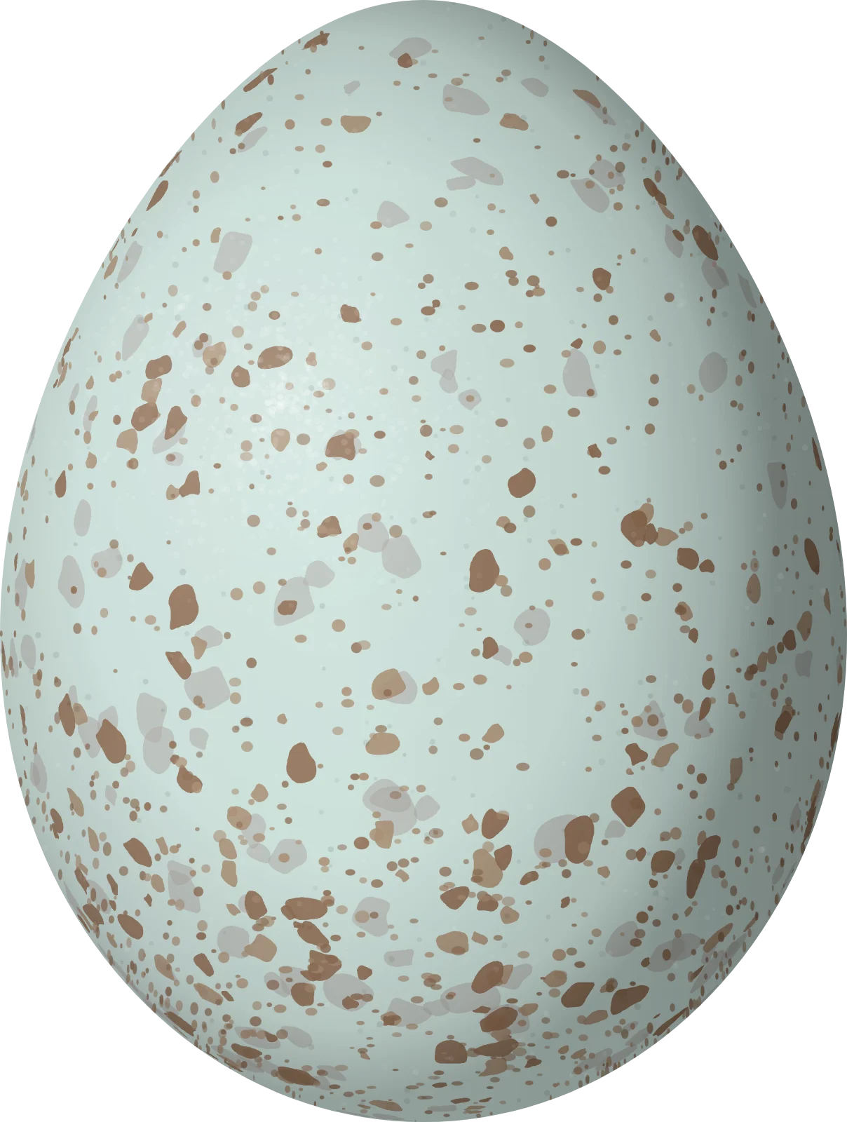 Illustration of a Floreana Mockingbird (Mimus trifasciatus) egg, 26.1 × 19.7 mm