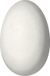 Illustration of a Fork-tailed Woodnymph (Thalurania furcata) egg, 12 × 8 mm