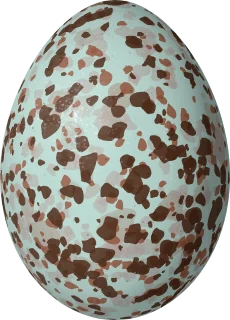Fox Sparrow egg, 22.7 × 16.3 mm