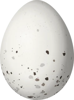 Illustration of a Fulvous-headed Tanager (Thlypopsis fulviceps) egg, 19.5 × 14.5 mm