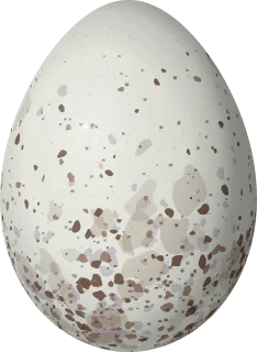 Illustration of a Fulvous Shrike-Tanager (Lanio fulvus) egg, 20.5 × 15 mm